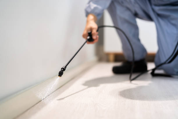 Licensed Pest Control service in Castle Dale, UT - Show Me Pest Control