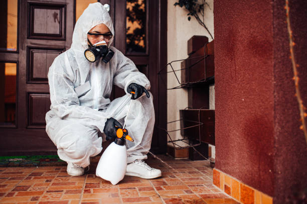 Reliable Wasp Removal contractor in Castle Dale, UT by Show Me Pest Control